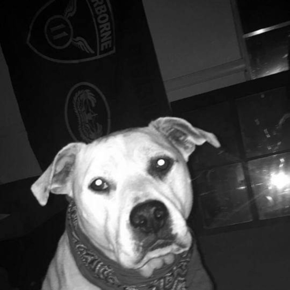 Meet your Posher, Posh